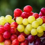 grapes, fruit, cluster, grape, fresh fruits, fresh, fresh grapes, harvest, products, bio, ripe, ripe grapes, cute, food, healthy, vitamins, grapes, grapes, fruit, fruit, fruit, fruit, fruit