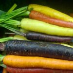 Fresh and colorful stack of raw multicolored carrots showcasing vibrant hues.