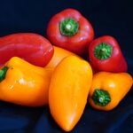 Colorful red and yellow bell peppers arranged neatly against a dark background, showcasing freshness.