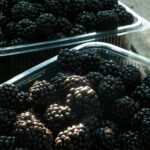 Close-up of ripe blackberries in plastic containers, natural light.